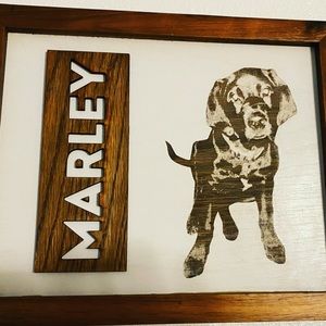 Meet your Posher, Gabriel